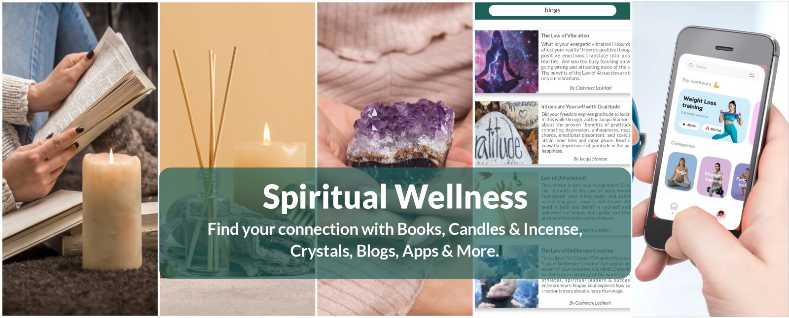 Holistic Wellness App Image