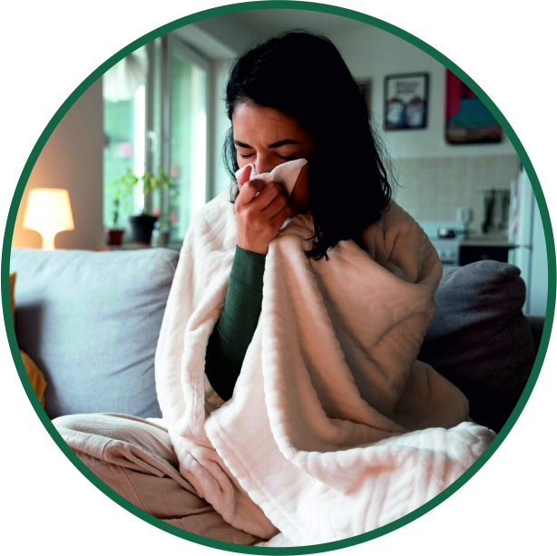 Allergy Removal