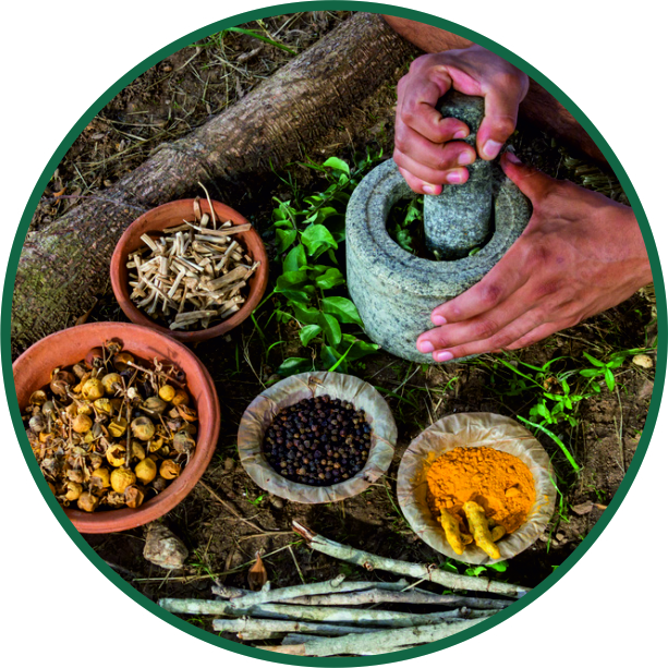 Ayurveda