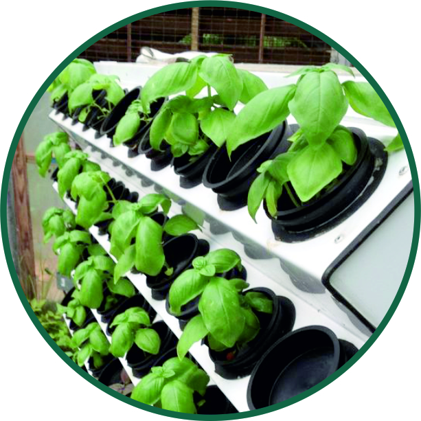 Hydroponics